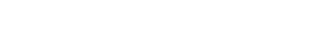 SpaceX Super Intelligence Partner Network